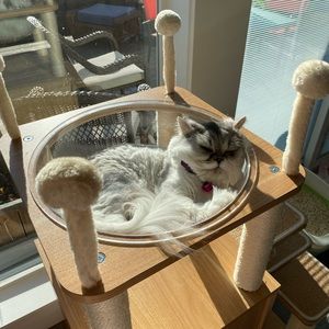 Meet your Posher, Sookhyun